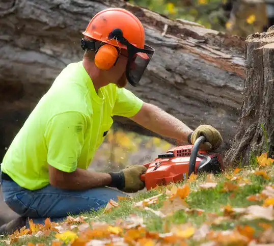 tree services Holyoke